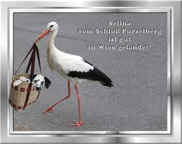 Bernd und Katrin sorgen f�r meine sanfte Landung